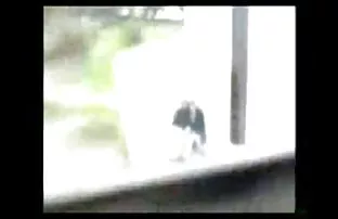 Jami3at-missr सेक्सी पिक्चर बताइए इंग्लिश