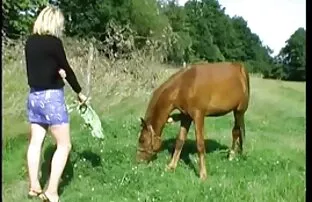 युवा शहर किसानों सेक्सी पिक्चर हिंदी में इंग्लिश पिक्चर