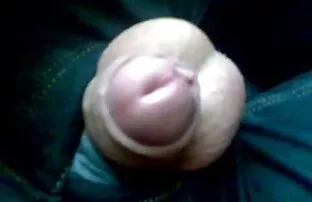 परिवहन प्रदर्शनी 2. सेक्सी फिल्म वीडियो एचडी पंजाबी