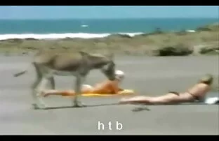 मज़ा.4. एचटीबी अंग्रेजी फुल सेक्सी मूवी