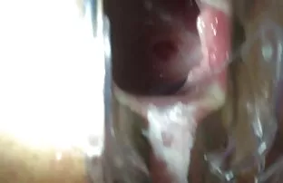 अपने वीक्षक नाली बिल्ली में देखो हिंदी सेक्सी फिल्म वीडियो