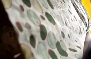 दृश्यरतिक जासूस, मलयालम सेक्सी पिक्चर