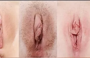 Bracksam बहुत बड़ी