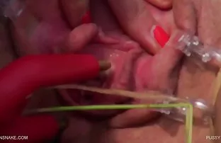 उत्पाद-बिल्ली - queensnake.Com - queensect.Com वीडियो की सेक्सी फिल्म