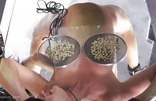 Queensnake.Com -पिन करने के लिए 2 इंग्लिश पिक्चर वीडियो में सेक्स