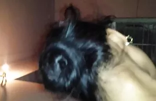 भारत., सेक्सी हीरोइन की ब्लू पिक्चर