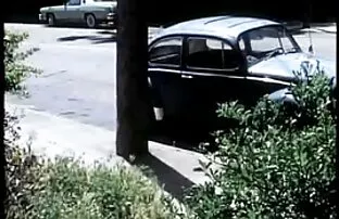 मांस का एक मील-जॉन होम्स सेक्सी फिल्म लाइव