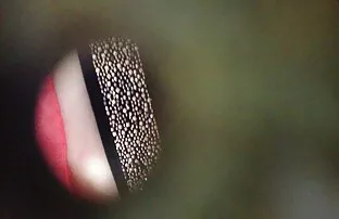 छिपे हुए कैमरे पूल 11 सेक्स बीएफ मूवी