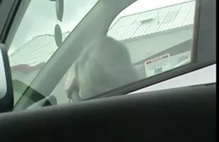 मूठ मारना, अधेड़ औरत, हिंदी सेक्सी मूवी पिक्चर फिल्म