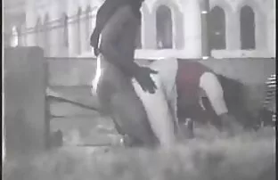 डेट्रायट पार्क में फूहड़ कार सजावट