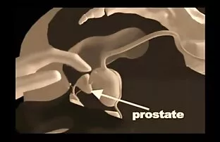 मालिश की तकनीक हिंदी फिल्म हिंदी फिल्म सेक्सी