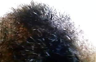 बालों हिप्पी 5 हिंदी हद सेक्सी मूवी