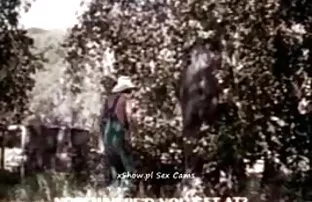 क्लासिक स्वीडिश पोर्न स्टार। बीएफ सेक्सी मूवी वीडियो फुल एचडी