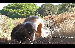 Wanker. सेक्सी सेक्सी फिल्म हिंदी में