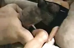 परिवार दंत चिकित्सक ड्रिलिंग पत्नी।, इंग्लिश पिक्चर दिखाइए सेक्सी