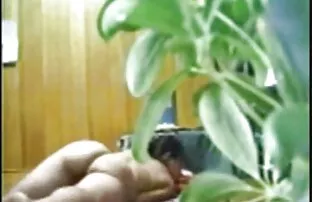 एशियाई अश्लील सबसे अच्छा भागों सेक्सी फिल्म बढ़िया सेक्सी