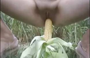 भारत के क्षेत्र में खेलता है सेक्सी फिल्में बीएफ हिंदी में