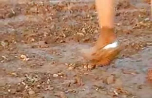 लड, समलिंगी स्त्रियां, लड सेक्सी हिंदी इंग्लिश पिक्चर