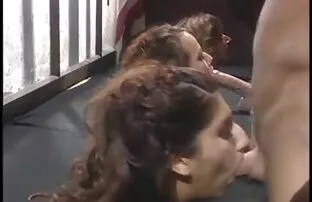 मजाकिया मुखमैथुन सेक्सी फिल्म वीडियो में चाहिए