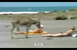 मज़ा.4. एचटीबी सेक्सी हिंदी फुल