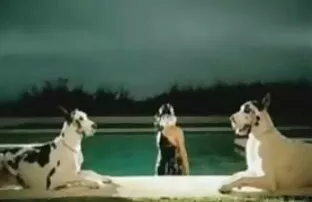 लेडी गागा। वीडियो में सेक्सी पिक्चर वीडियो में