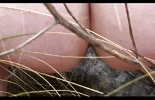 ग्रेट आउटडोर खाद्य सेक्सी फिल्म नंगी