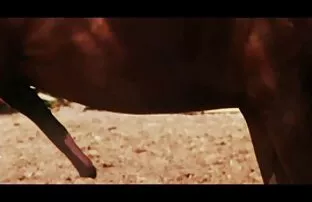 Guza मैं konjic हिंदी में सेक्सी मूवी एचडी