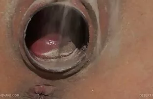 Queensnake.Com -डेजर्ट हार्ट 1