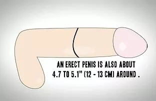 वृत्तचित्र छोटा मुर्गा, बड़ी मुर्गा, भोजपुरी पिक्चर सेक्सी