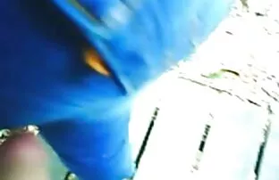 चीनी क्षेत्र गधा मालिश सेक्स सेक्सी फिल्म वीडियो में