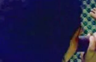 अरब अरब हिंदी पिक्चर सेक्सी वीडियो