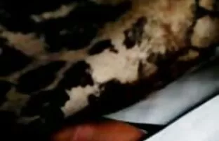 बस प्रेस तीन एचडी एचडी सेक्सी मूवी