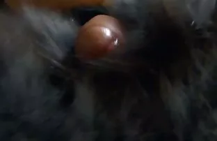 फर-तड़पा शौकिया लड़की सेक्सी वाली फिल्म दिखाओ