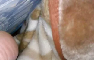 बहन सेक्सी फिल्म एचडी फुल एचडी