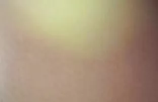 श्रृंखला 185 का आनंद लें हिंदी फिल्म सेक्सी फिल्म