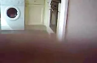 शॉर्ट्स सुंदर हैं-नारंगी रानी सेक्सी फिल्म