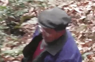 वन, जंगली जंगल. दिखाओ सेक्सी फिल्म