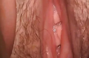 # घर का बना पत्नी बिल्ली # बफ फिल्म सेक्सी में