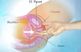 शुक्राणु (महिला स्खलन) भी वि कहा जाता है । सेक्सी वीडियो मूवी फिल्म