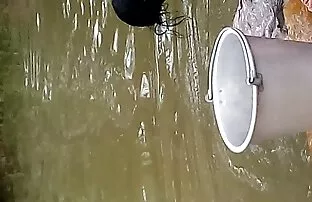 तमिल 1 महिलाओं सेक्सी मूवी फिल्म हिंदी में