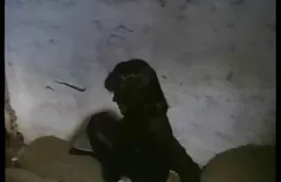 मजेदार फिल्म 2 में जर्मन खिलौने सेक्स पिक्चर सेक्स फिल्म