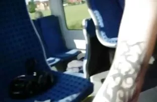 एक पागल ट्रेन में हाथापाई